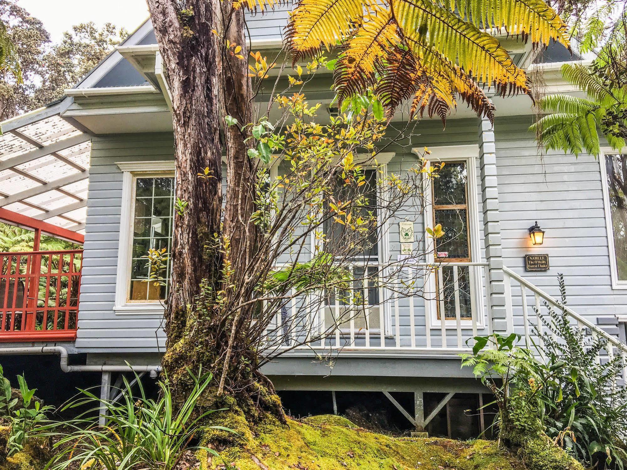 Hale Nahele Villa Volcano Exterior photo